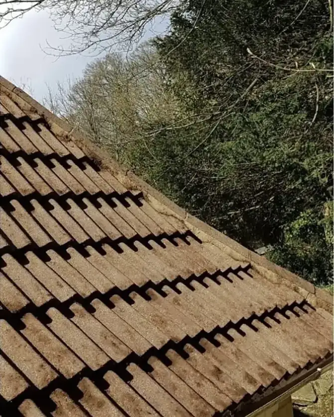 Same tiled roof clear of moss after cleaning